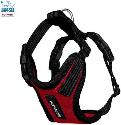 Best Pet Supplies Voyager Step-in Lock Pet Harness w Reflective Pet Leash Combo Set with Neoprene Handle 5ft - Supports Small, Medium and Large Breed Puppies/Cats - Red/Black Trim Set, XXS