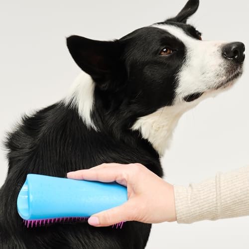 Pet Teezer De-Shedding Dog Brush for Long Hair Breeds, Large, Blue & Pink