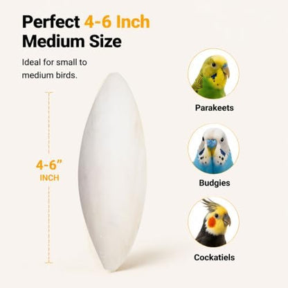 Amzey 12 Pack Cuttlebone for Birds, 4-6 Inch Natural Calcium Source for Parrots
