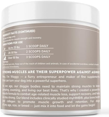 Premium Canine Mobility & Strength Supplement for Dogs – Helps Maintain Healthy Muscle Mass, Recovery & Performance – with Clinically Studied HMB, Bone Broth & Collagen – 3.17 oz