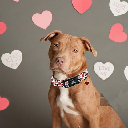 Lionheart glory Valentine's Dog Collar-Red Hearts Cute Spring Dog Collar for X-Small Dogs Female Male Adjustable Heavy-Duty Puppy Collar Holiday Pet Gift