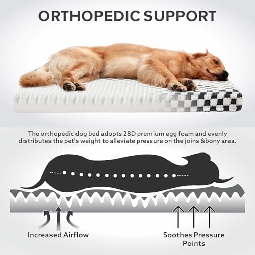 JOEJOY Dog Bed for Medium Dogs, Large Orthopedic Dog Bed with Removable Washable Cover, Cute Modern Plush & Memory Egg Crate Foam Dog Bed, 30 x 20 inch, Grey