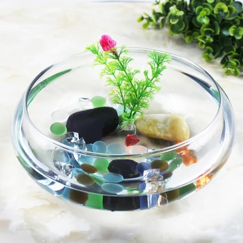 VANZACK Transparent Aquarium Tank Desktop Betta Tank Shallow Acrylic Fish Bowl for Goldfish Plants and Aquatic Pets Home Office Decor 9.52 X 9.52 X 3.93 in 1 Fish