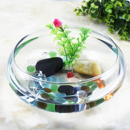 VANZACK Transparent Aquarium Tank Desktop Betta Tank Shallow Acrylic Fish Bowl for Goldfish Plants and Aquatic Pets Home Office Decor 9.52 X 9.52 X 3.93 in 1 Fish