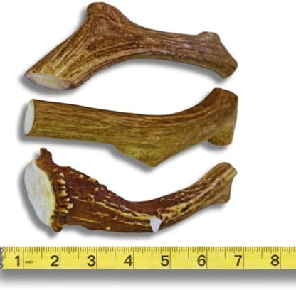 WhiteTail Naturals 3 Pack Whole Deer Antlers for Large Dogs - 7 Inches