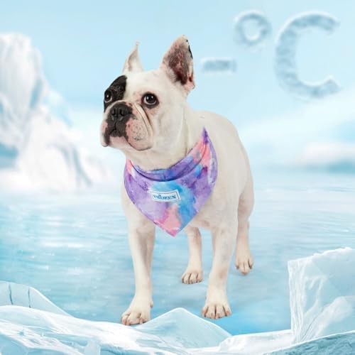 KYEESE 2Pack Dog Cooling Bandana Dog Scarf for Small Medium Large Dogs