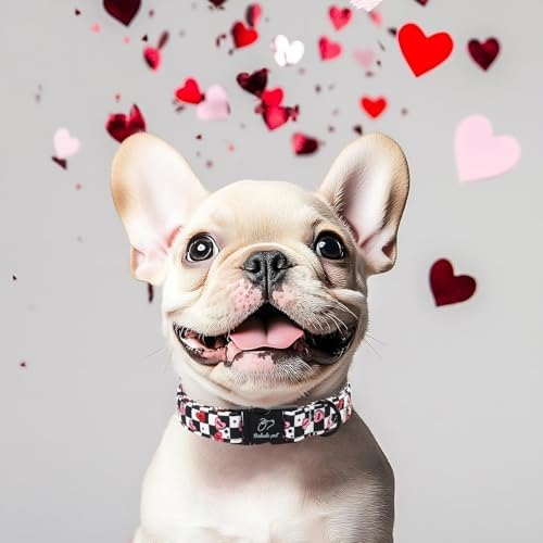 Valentines Dog Collar for Puppy Small Dogs - Unique Black White Plaid Girl Boy Valentine Heart Dog Collars, Adjustable Heavy Duty Pet Collar with Metal Buckle XS