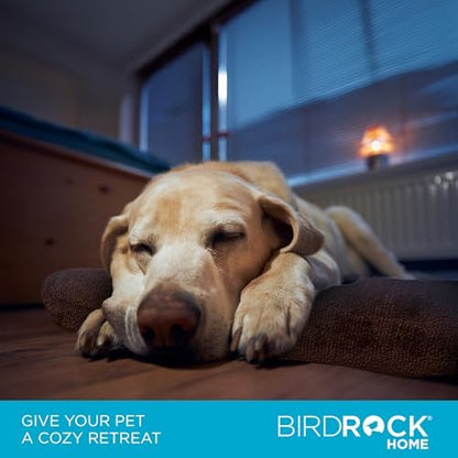 BIRDROCK HOME 2" Memory Foam Dog Beds | Ultra Soft Plush Pet Bed | Removable Cover | Pet | Crate Bed (40 X 26, Brown)