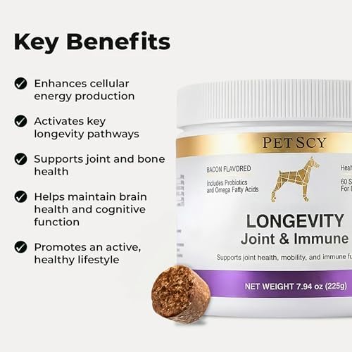 Petscy Longevity Hip & Joint + Immune Support Chews for Dogs - 3.75g Chew - High Dose Glucosamine, MSM, Chondroitin, Green Lipped Mussel, Omega 3, Probiotics - 60 Chews (Small & Medium Dogs)
