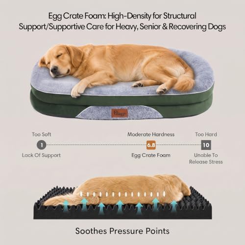 Orthopedic Dog Beds Large Sized Dog, Washable Dog Bed, 42" L, Green