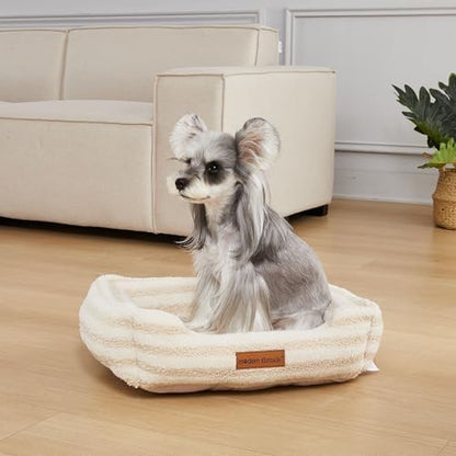 Modern Threads Ultra Soft Plush Pet Bed for Small and Medium Dogs with Elegant Texture and Stylish Design, Removable Washable Cover, Beige, (24" L x 20" W x 8" Th)