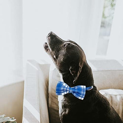 Lionheart glory Dog Collar, Boy Dog Collar Bowtie Blue Adjustable Dog Bowtie Collar Bows Dog Collar for Medium Dogs