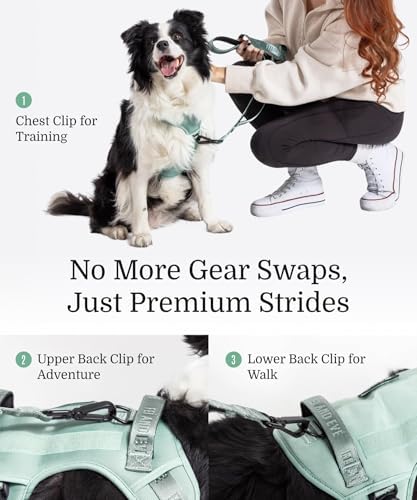 Fei & Eve Classic Dog Harness