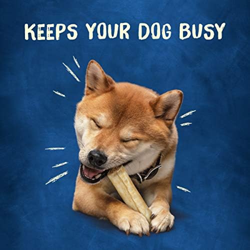 Purina Busy Rawhide Small/Medium Breed Dog Bones, Rollhide - (Pack of 12) 3 ct. Pouches