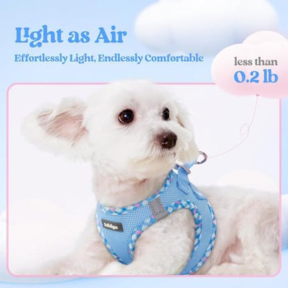 rabbitgoo Dog Harness Medium Sized and Leash Set, Step-in Puppy Pet Vest