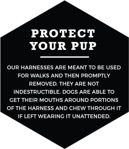 Wolfgang Heavy Duty Adjustable Dog Harness, Pull-Tested to Over 800 lbs for Walking & Training, PackLeader Print, Small