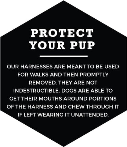 Wolfgang Heavy Duty Adjustable Dog Harness, Pull-Tested to Over 800 lbs for Walking & Training, PackLeader Print, Small