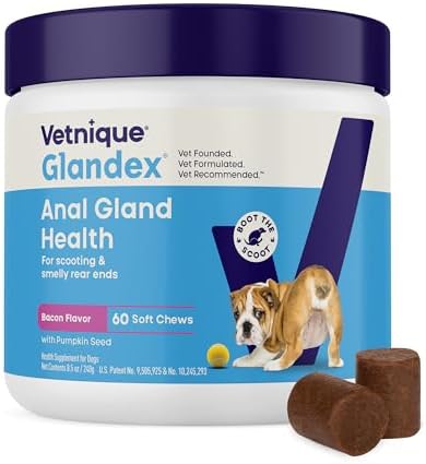 Vetnique Glandex for Dogs Anal Gland Chews 60ct Pumpkin + Digestive Enzymes