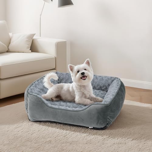 JOEJOY Rectangle Dog Bed for Large Medium Small Dogs Machine Washable Sleeping Dog Sofa Bed Non-Slip Bottom Breathable Soft Puppy Bed Durable Orthopedic Calming Pet Cuddler, Multiple Size, Grey