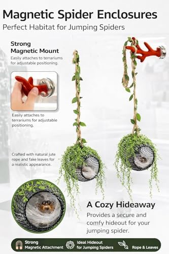 5Pcs Jumping Spider Enclosure Accessories with Hammock, Magnetic Climbing Rope, Resting Ledge Platforms and Feeding Dish Bowl & Hook for Terrarium Habitat (Two Hammocks)