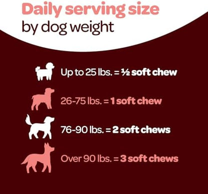Hip and Joint Chews for Dogs | Dog Glucosamine Chews for Comfort & Mobility with Chondroitin MSM & Turmeric | Dog Joint Supplement for All Ages & Sizes | NASC Certified & Made in the USA | 60 Chews