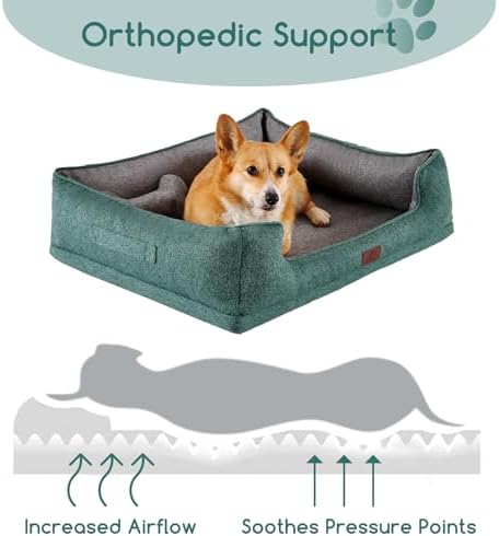 Hollypet Orthopedic Rectangle Dog Bed for Medium Dogs, Supportive Egg-Crate Foam Pet Beds with Removable Washable Waterproof Cover and Non-Slip Bottom, Green, 32" L x 24" W x 8.5" Th