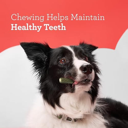 Dreambone Triple Action Dental Sticks Kelp, 6 Count, Rawhide-Free Chews for Large and XL Sized Dogs Freshens Breath