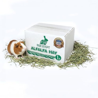 High Desert Alfalfa Hay for Young Rabbits and Guinea Pigs, 1 lb Box