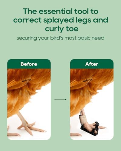 6Pcs Black Chicken Leg Splints,Bumble Foot Treatment, for All Splint for Broken Feet, osteoarthritis, Curled Toes, Splay Leg Ideal Chicken Gifts for Hen Health Care(Black)