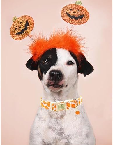 Lionheart Glory Halloween Dog Collar - Pumpkin Pink, Heavy Duty Adjustable Fall Collar for Medium Female or Male Dogs