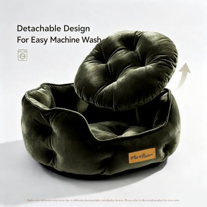 Olive Green Cat Bed for Indoor Cats, Removable Cushion Bed