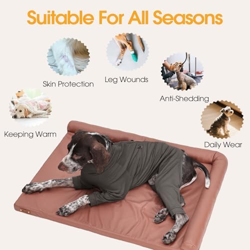 Adjustable Recovery Suit for Small Dogs, Dog Pajamas, Grey, XS