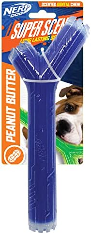 Nerf Dog 10in TPR/PP Scented Peanut Butter SuperScent Stick Solid Core -Clear/Blue, (NF-7133)