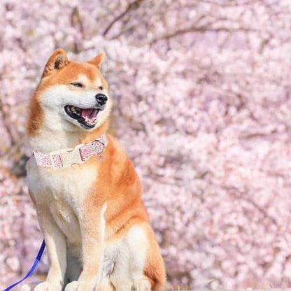 Cute Floral Cotton Dog Collar with Pink Bow Charm, Soft Adjustable Puppy Collar with Durable Quick Release Buckle for Small Medium Dogs Girl Pets