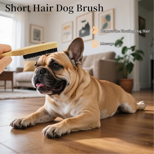 Soft Boar Bristle Dog Brush for Short Haired Dogs, Made of Bamboo,（Small）