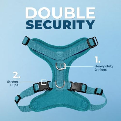 Best Pet Supplies Voyager Step-in Lock Pet Harness w Reflective Pet Leash Combo Set with Neoprene Handle 5ft - Supports Small, Medium and Large Breed Puppies/Cats - Turquoise Set, L