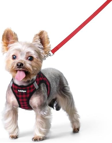 rabbitgoo Dog Harness Small Sized and Leash Set, Step-in Puppy Pet Vest