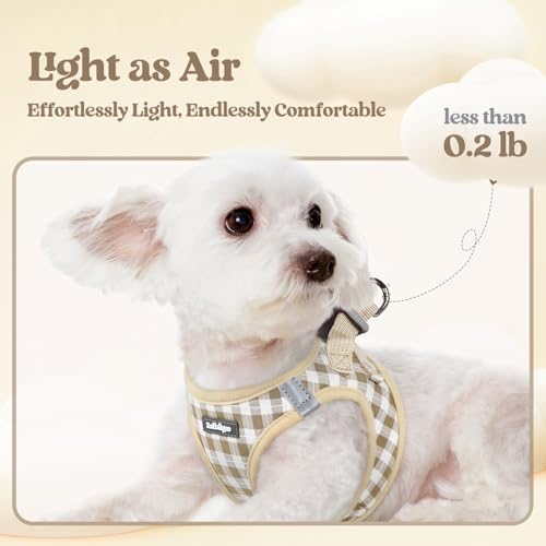 rabbitgoo Dog Harness Medium Sized and Leash Set, Step-in Puppy Pet Vest