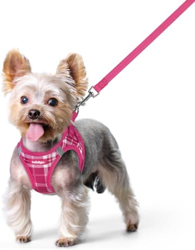 rabbitgoo Dog Harness Small Sized and Leash Set, Step-in Puppy Pet Vest