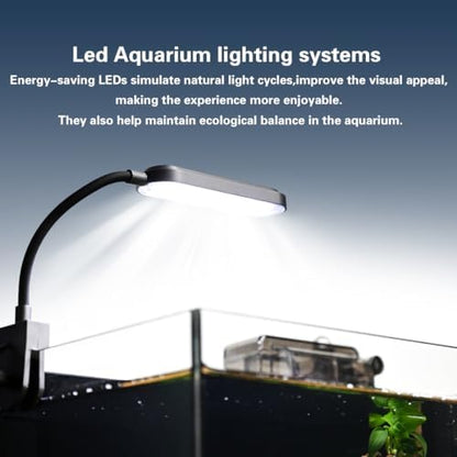 1.8 Gallon Fish Tank with Light,Filter,Lid,Landscape Accessories