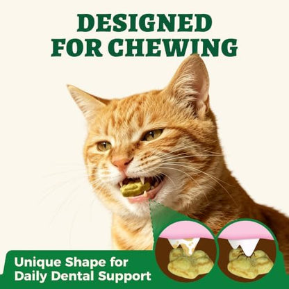 Wellix Cat Grass Treats with Catnip, Hairball & Digestive Support, 13.05 oz