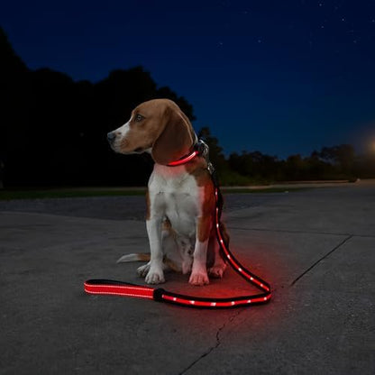Sherry Kline LED Light-Up Pet Collar - USB Rechargeable - Flashing Glow in The Dark Size Small, Color: Red