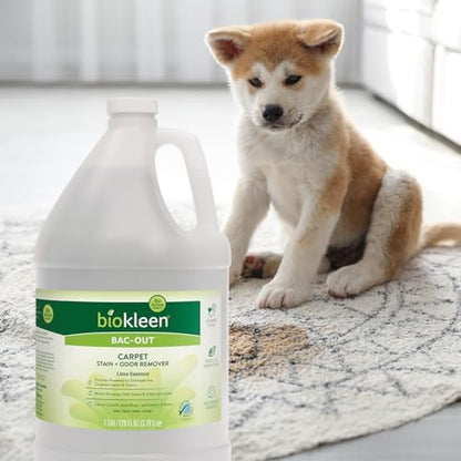 Biokleen Bac Out Enzyme Cleaner, Stain & Pet Odor Eliminator, Lime Scent