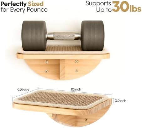 4-PCS Cat Wall Shelves with Foam-Padded Bed & Sisal Steps for Indoor Cats
