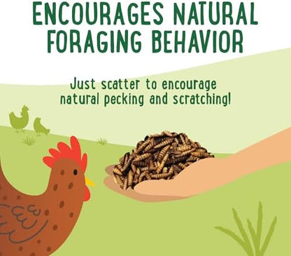 Manna Pro Feather Flair Chicken Treats, Supports Feather Health, 2 lb