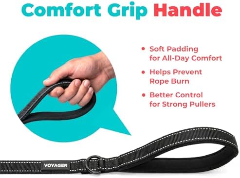 Best Pet Supplies Voyager Nylon Dog Leash - Black, Medium