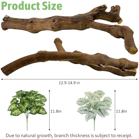 Snake Climbing Branch 2 Pcs Reptile Wood Branches Decor Wooden Ball Python Tank Accessories Bearded Dragon Terrarium Decorations Natural Forest Tree Trunk Log Habitat Ornament