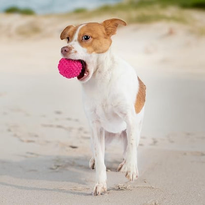 Best Pet Supplies Squeaky Dog Toys with Soft Durable Fabric for Small, Medium and Large Pets Interactive Toy for Indoor Play, Supports Active Biting and Play - Fuchsia, Green, Large