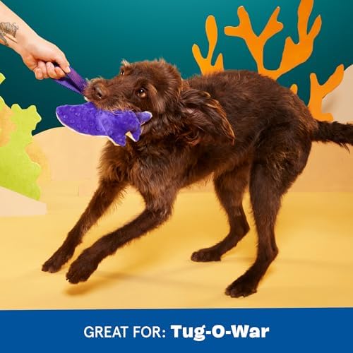 BarkBox Manny Ray Dog Toy - for Dogs