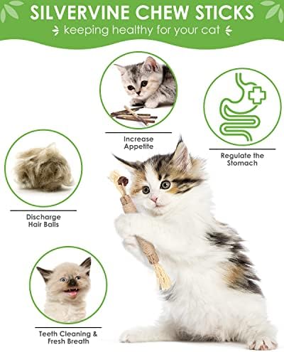 TINDTOP Catnip Chew Toys for Cats, 12 Pack Natural Silvervine Sticks